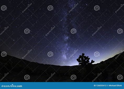 Joshua Tree Against Dark Sky Background Stock Photo - Image of rocks ...