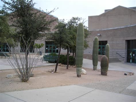 Catalina Foothills High School, Tucson, AZ by docstubie on DeviantArt