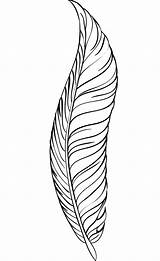 Feather Quill Pen coloring page  ColouringPages sketch template
