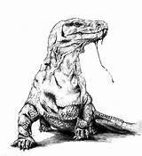 Komodo Dragon Coloring Pages sketch template