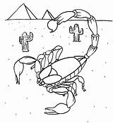 Striped Bark Scorpion Coloring Page  Free Printable Coloring Pages For sketch template