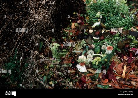 Organic compost heap Stock Photo - Alamy