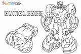 Bumblebee Coloring Pages sketch template