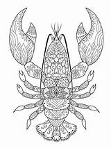 Crustacean Coloring Page Pages sketch template