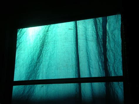 blue tarp | sushiesque | Flickr