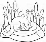 Otter Coloring Pages  ColoringBay sketch template