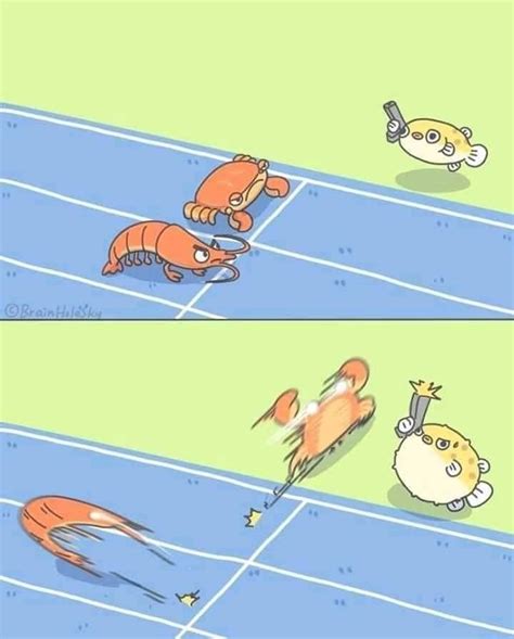 The best crab memes :) Memedroid