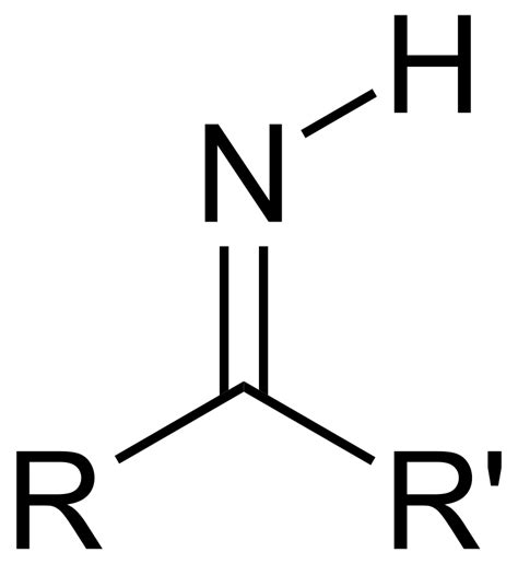 Difference Between Amino Acid and Imino Acid | Compare the Difference Between Similar Terms