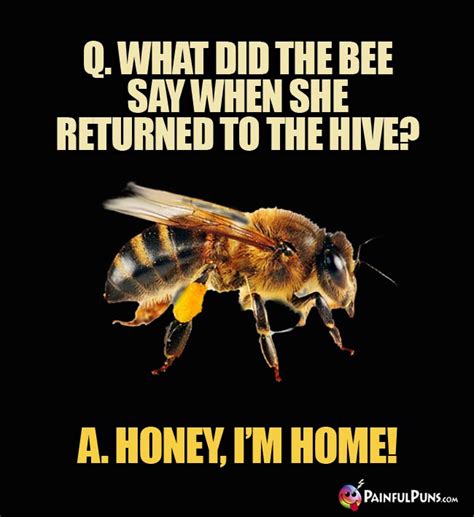 Bee Jokes, Wasp Puns, Hive Mentality Humor 2 | PainfulPuns.com