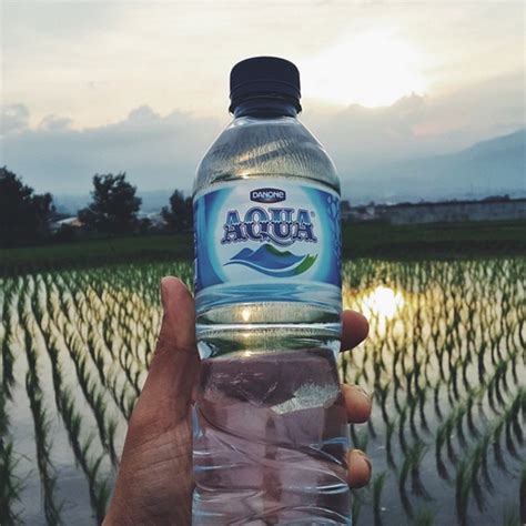 Danone in Indonesia. With more than 14,000 employees and 21… | by ...