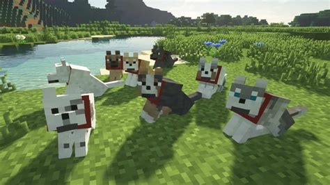 Top 3 Uses for a Pet Dog in Minecraft!