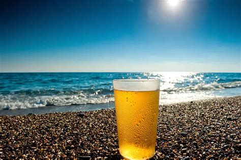 Top 10 Best Beer Brands for Summer To Keep You Cool