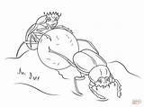 Dung Beetles Rolling A Ball Of Poop coloring Page  Free Printable sketch template