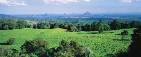 sunshine-coast-hinterland-1135x464cy – Regional Development Australia Sunshine Coast