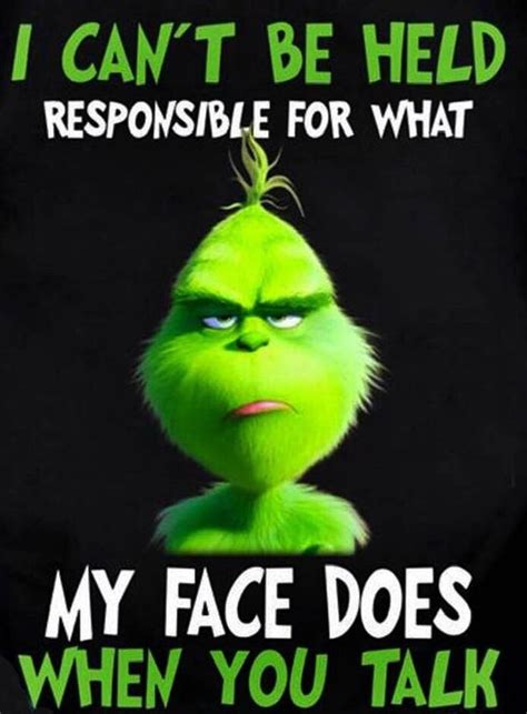 you think the Grinch accepts blame ? | Grinch quotes, Funny quotes, Grinch