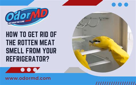 Get Rid Of the Rotten Meat smell From Your Refrigerator?