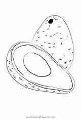 Avocado Coloring Page For Kids  Free Printable Pages sketch template