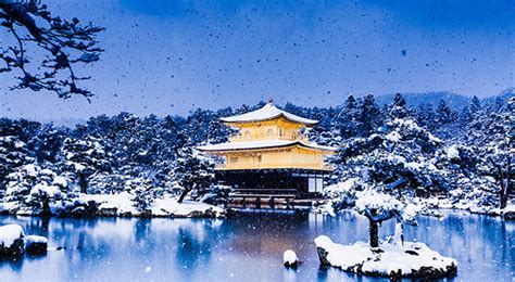 Kinkakuji (Kyoto) - Japan’s Most Spectacular Views in Winter | hisgo.com