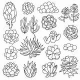 Free Printable Succulent Coloring Pages sketch template
