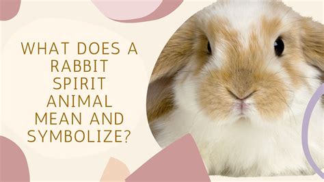 What Does a Rabbit Spirit Animal Mean and Symbolize? - YouTube