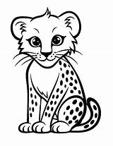 35 Cheetah Coloring Pages Cute Sheets For Kids sketch template