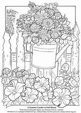 Petunia Coloring Pages  Flower Garden Page sketch template