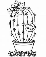 Cactus Flower coloring page sketch template