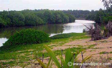 Tangalle Beaches 🌴 Tantalizing Tangalle, Sri Lanka