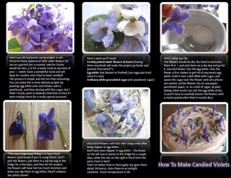 How To Make Candied Violets