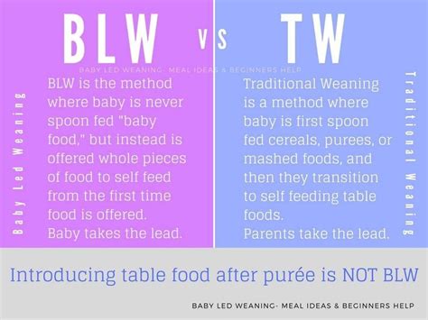 Baby Led Weaning vs Traditional Weaning Baby Led Weaning Recipes 6 ...