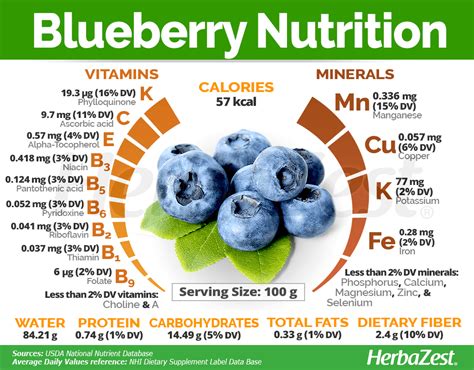 Nutrition Facts About Blueberries - Effective Health