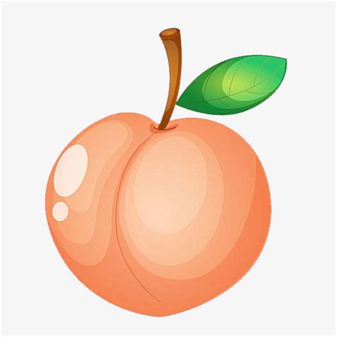 clip art peach 20 free Cliparts | Download images on Clipground 2024