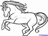 Drawing Horse Trace Drawings Easy Horses Outline Coloring Outlines  sketch template