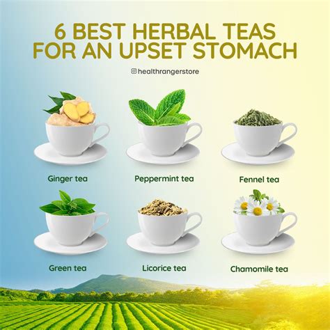 6 Best herbal teas for an upset stomach in 2021 | Best herbal tea ...