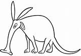 Adorable oso Hormiguero Para Colorear Imprimir E Dibujar –ColoringOnlyCom sketch template