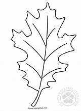 Oak leaf Autumn coloring Page  Flowers Templates sketch template