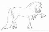 Draft Horse Coloring Pages  Nation sketch template