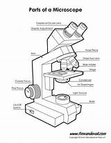 Microscope Diagram  Tims Printables sketch template