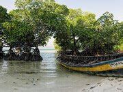 Havelock Island beach Mangroves and boat Andamans Photograph by Sonny Ryse - Pixels