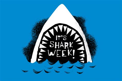 It’s Shark Week! « Mattson Creative