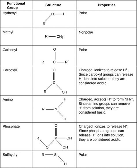 Phosphate Functional Group Example