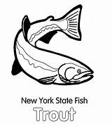 New York State Fish Apache Trout Coloring Pages sketch template