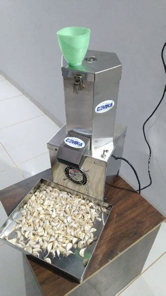 Garlic Peeling Machine Manufacturer, Supplier from Rajkot