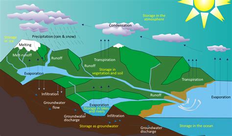 water cycle – Physical Geology