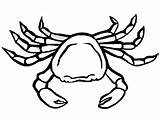 Free Printable Crab Coloring Pages For Kids Animal Place sketch template