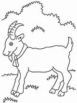 Three Billy Goats Gruff Coloring Pages At GetColoringscom  Free sketch template