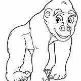 Coloring Ape Gorilla Drawing Pages Kids Line Printable Apes Realistic  sketch template
