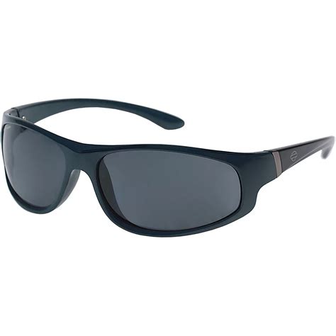 Harley-Davidson Men's Wrap Sunglasses | Academy