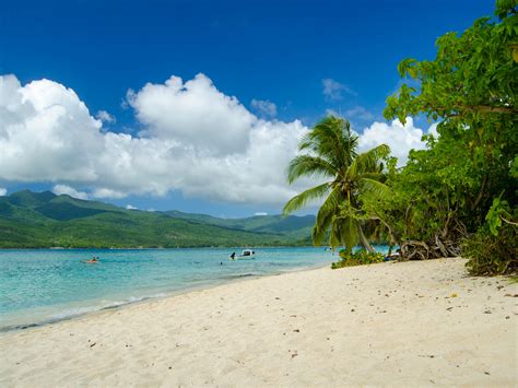 A Carnival cruise passenger died snorkeling in the ocean while on an ...