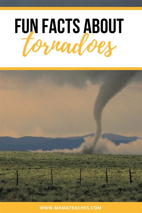 Fun Facts About Tornadoes for Kids - Mama Teaches